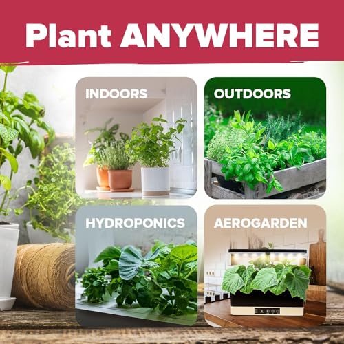15 Heirloom Culinary Herb Seeds with High Germination