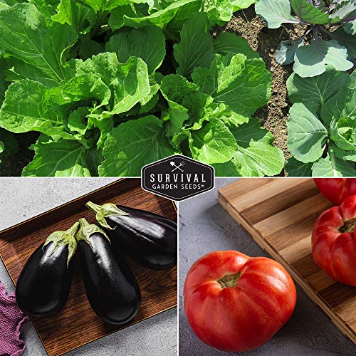 Non-GMO Heirloom Vegetable Seed Collection - 15 Varieties