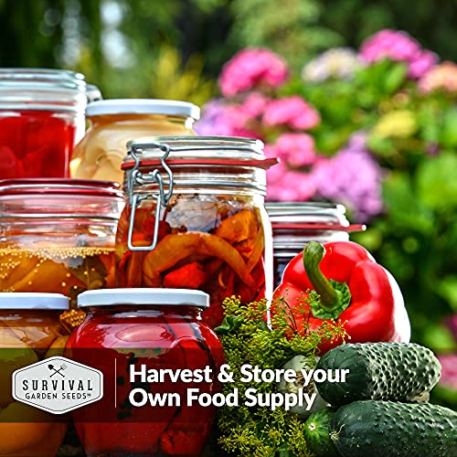 Heirloom Vegetable Seeds for Homesteading - 30 Pack