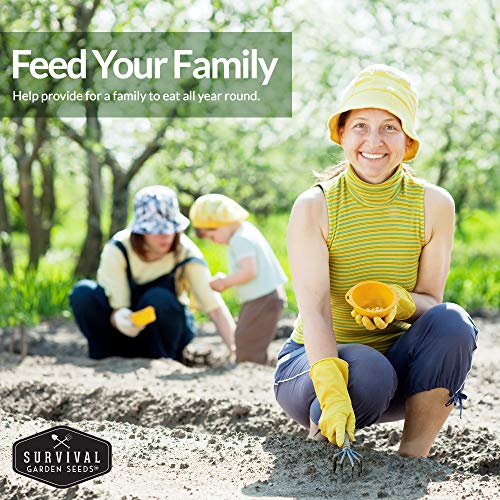 Non-GMO Heirloom Vegetable Seed Collection - 15 Varieties