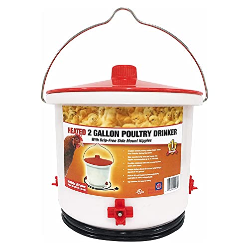 Thermostat-Controlled Heated Chicken Waterer, 2 Gallon - White/Red