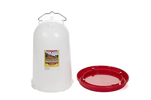 Little Giant 3 Gallon Plastic Poultry Drinker