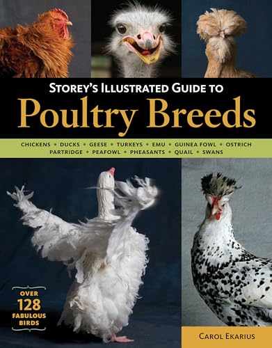 Poultry Guide: Chickens, Ducks, Geese and Guinea Hens
