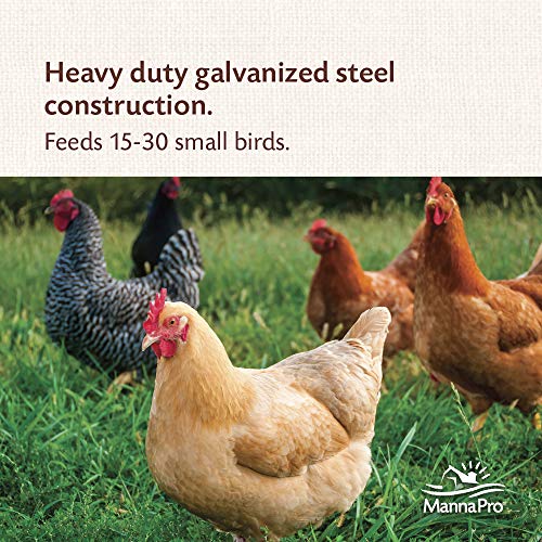 Galvanized Hanging Poultry Feeder, 15 lbs by Harris Farms