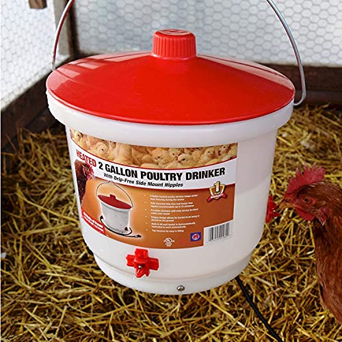 Thermostat-Controlled Heated Chicken Waterer, 2 Gallon - White/Red