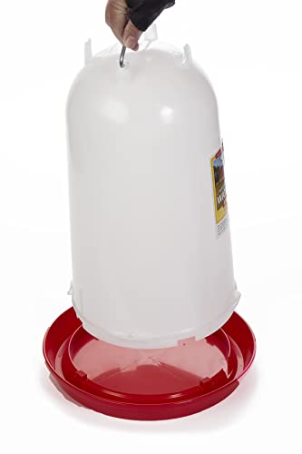Little Giant 3 Gallon Plastic Poultry Drinker