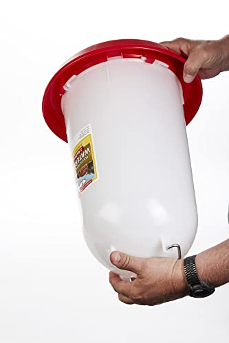 Little Giant 3 Gallon Plastic Poultry Drinker