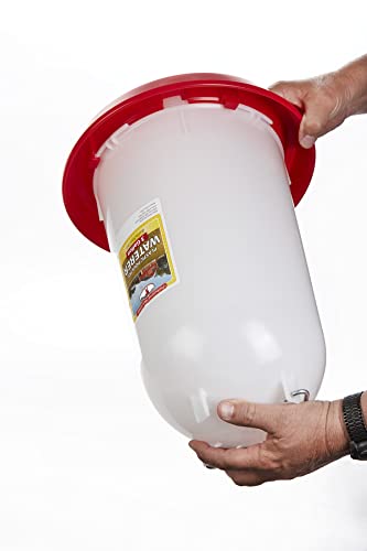 Little Giant 3 Gallon Plastic Poultry Drinker