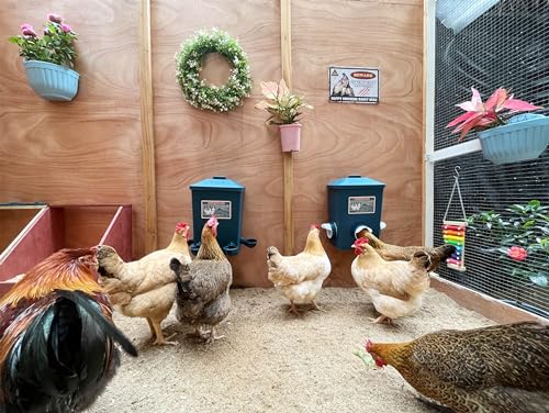 Automatic Chicken Feeder & Waterer Set - Homestead Essential
