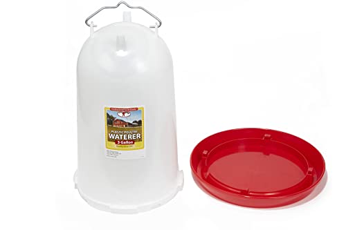 Little Giant 3 Gallon Plastic Poultry Drinker