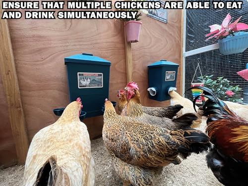 Automatic Chicken Feeder & Waterer Set - Homestead Essential