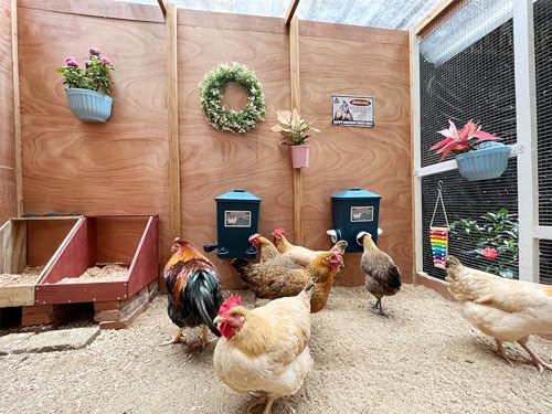 Automatic Chicken Feeder & Waterer Set - Homestead Essential