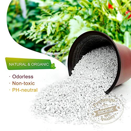 Natural Perlite for Improved Plant Growth (2 Quarts)
