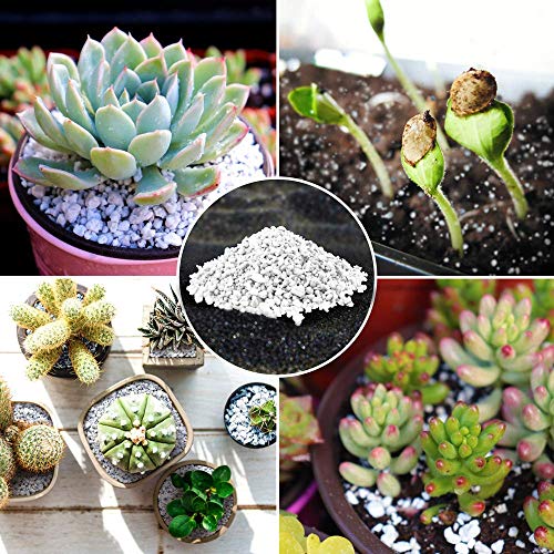 Natural Perlite for Improved Plant Growth (2 Quarts)
