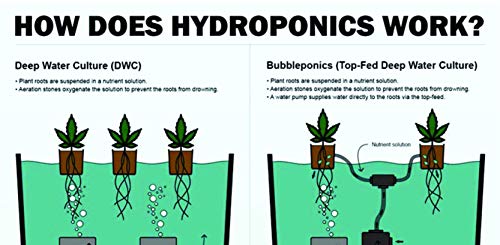 Atwater HydroPod - DWC Garden System Kit with Nutrients