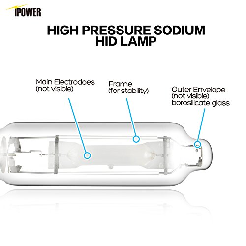 600W Hydroponic Grow Light Bulb - iPower GLBULBM600