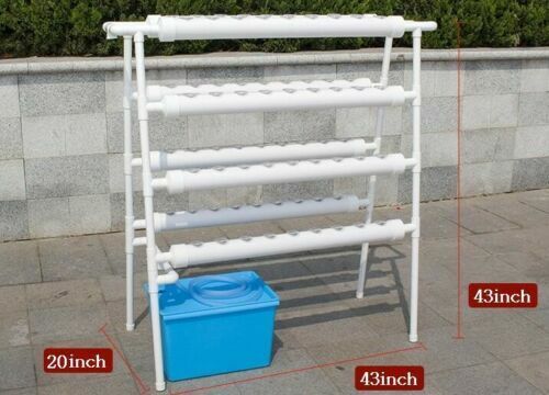 70-Site Ladder Hydroponic Grow System