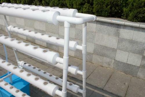 70-Site Ladder Hydroponic Grow System