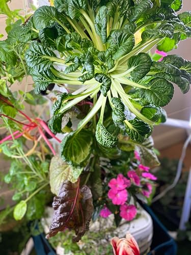 EXO Garden Vertical Hydroponic Tower - Grow Vegetables