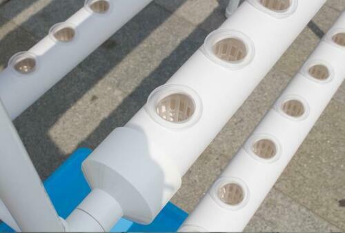 70-Site Ladder Hydroponic Grow System