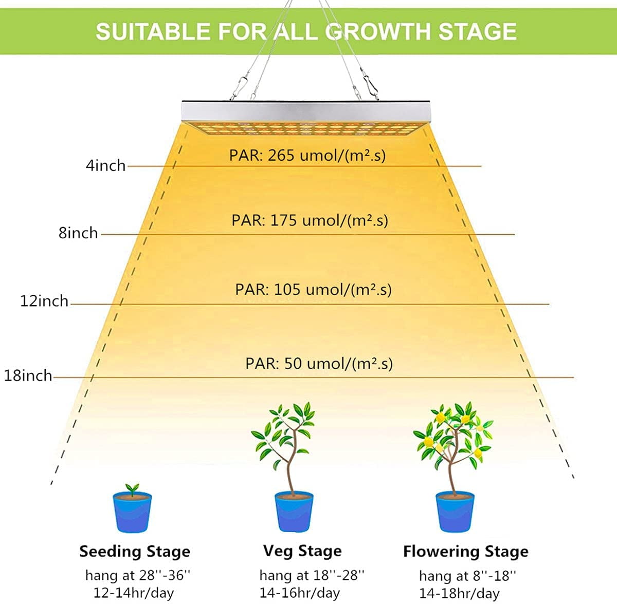 Spectrum LED Grow Light for Indoor Plants