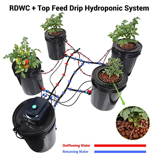 Top Feed Deep Water Culture Hydroponic System Kit