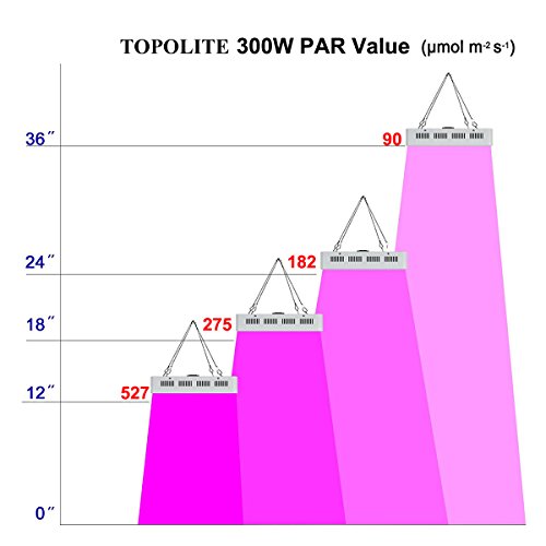 Complete Hydroponic Grow Tent Kit with LED Light