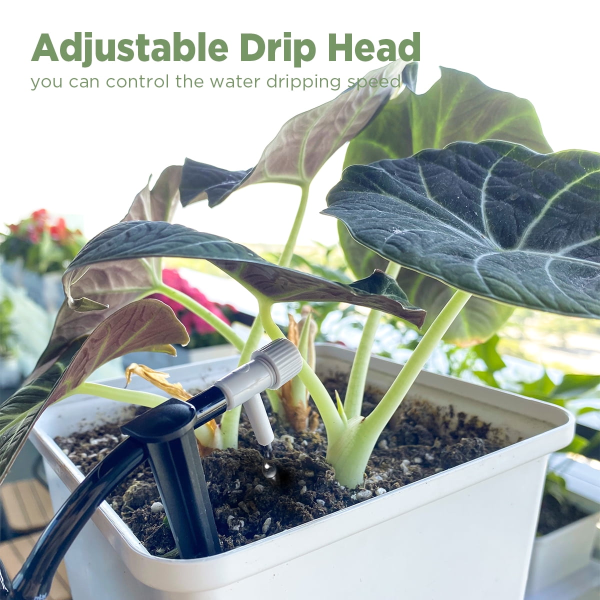 Smart Hydroponic Drip Irrigation Kit with App Control