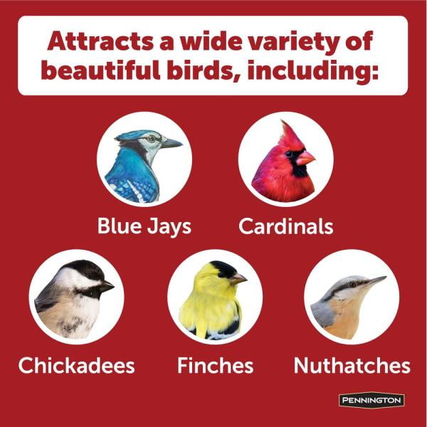 Pennington Green Ecozebo Bird Feeder, 7 lb. Capacity