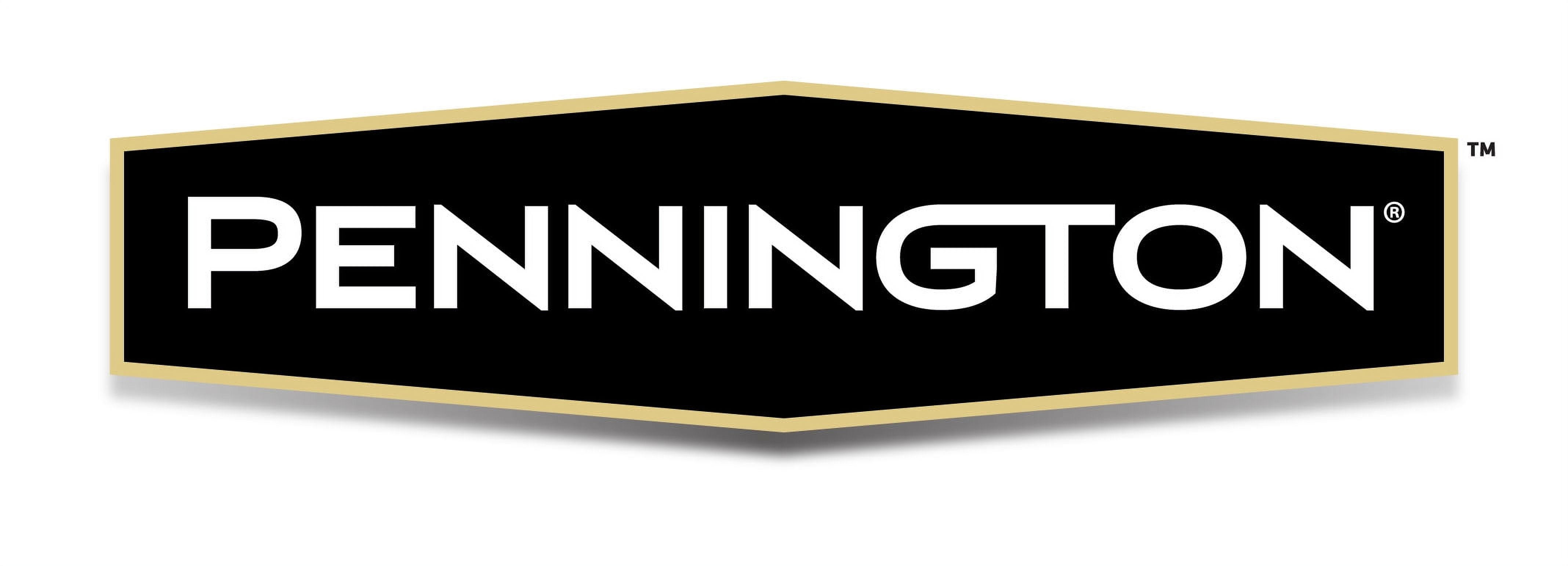 Pennington Green Ecozebo Bird Feeder, 7 lb. Capacity