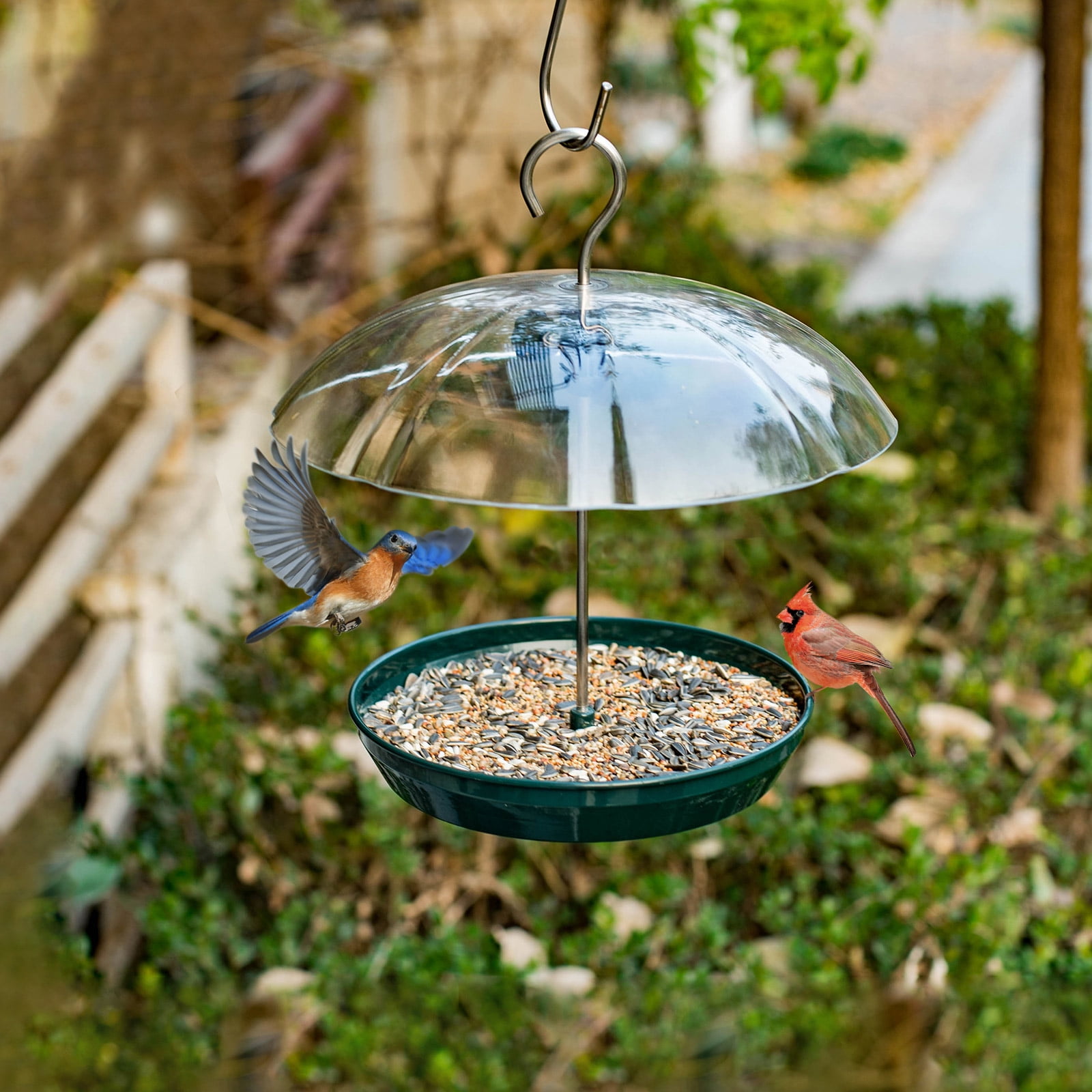Adjustable Dome Bird Feeder for Seeds/Mealworms in Green