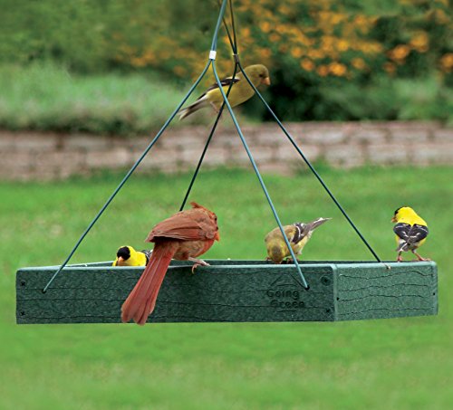 Eco-Friendly Woodlink Bird Feeder GGPLAT