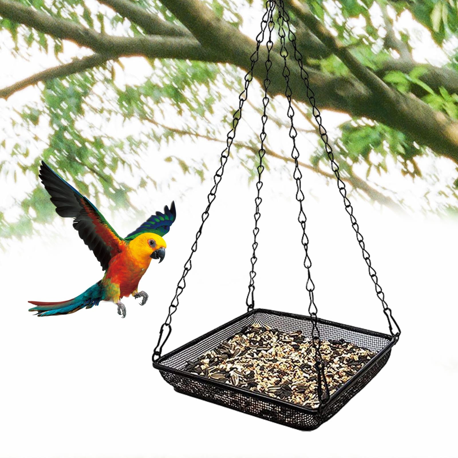 Hanging Bird Feeder with Iron Chains and Metal Mesh