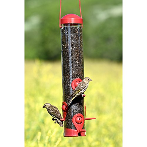 Red Bird and Finch Feeder - Perky-Pet 3264