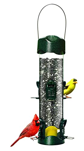 Tube Bird Feeders