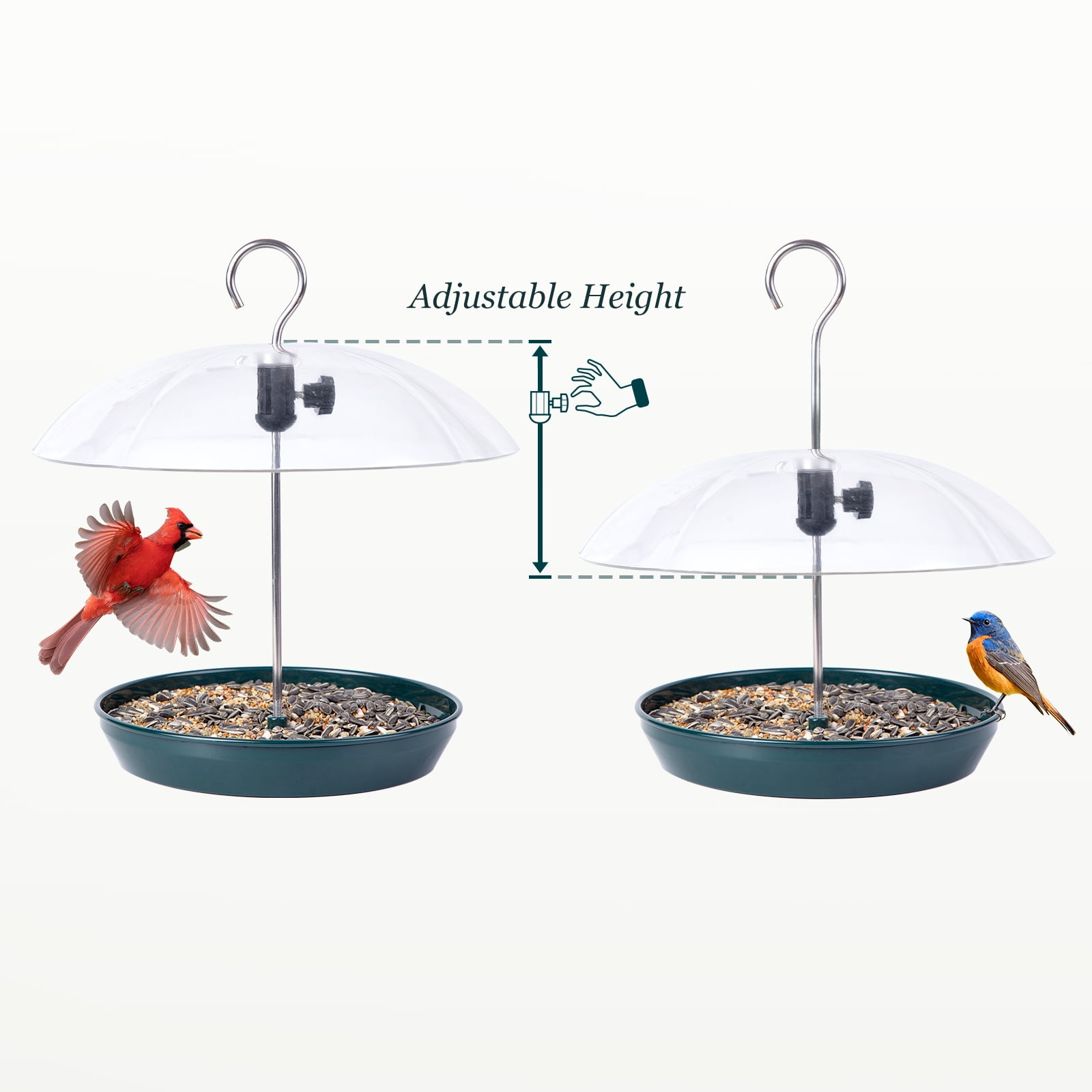 Adjustable Dome Bird Feeder for Seeds/Mealworms in Green