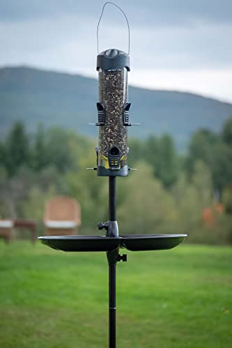 Brome Mega 600 Bird Feeder: 6 Ports, 4 lbs Capacity