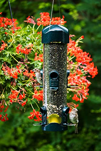 Brome Mega 600 Bird Feeder: 6 Ports, 4 lbs Capacity