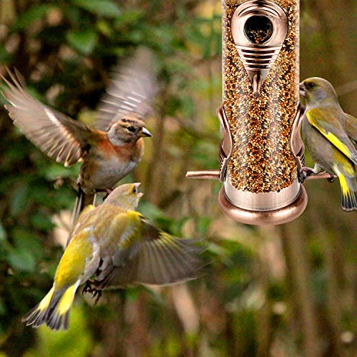 Metal Tube Bird Feeders for Outdoor Bird Watching