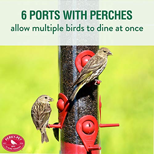 Red Bird and Finch Feeder - Perky-Pet 3264