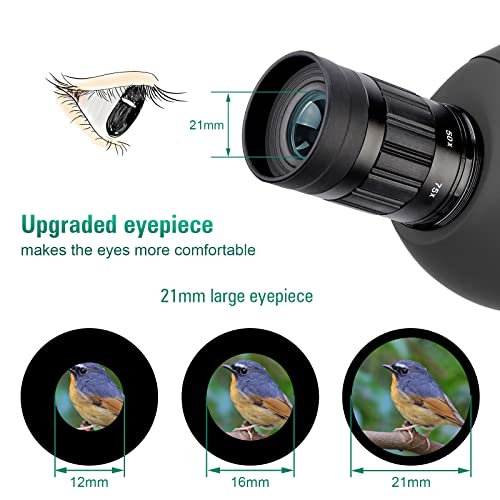 SVBONY Spotting Scope Kit for Bird Watching