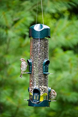 Brome Mega 600 Bird Feeder: 6 Ports, 4 lbs Capacity