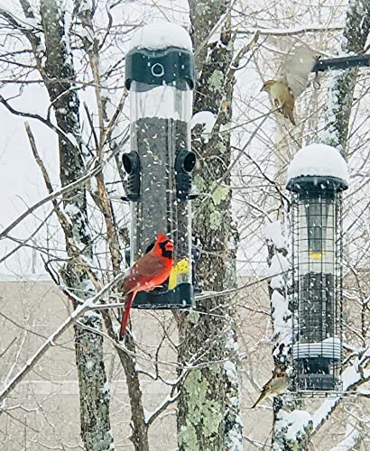 Brome Mega 600 Bird Feeder: 6 Ports, 4 lbs Capacity