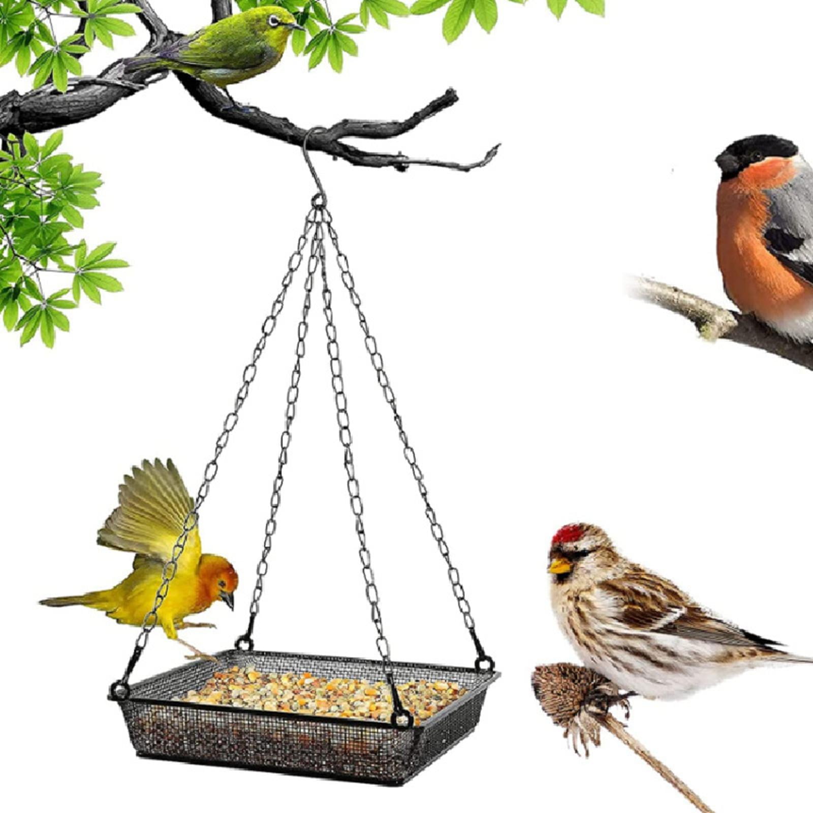 Hanging Bird Feeder with Iron Chains and Metal Mesh