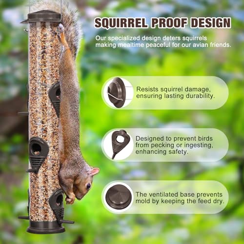 Durable Metal Bird Feeder with Transparent Tube