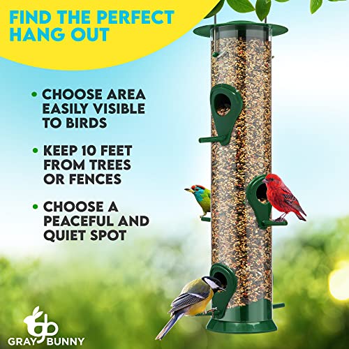Bird Watching: 2 Pack Tube Bird Feeders, 6 Ports
