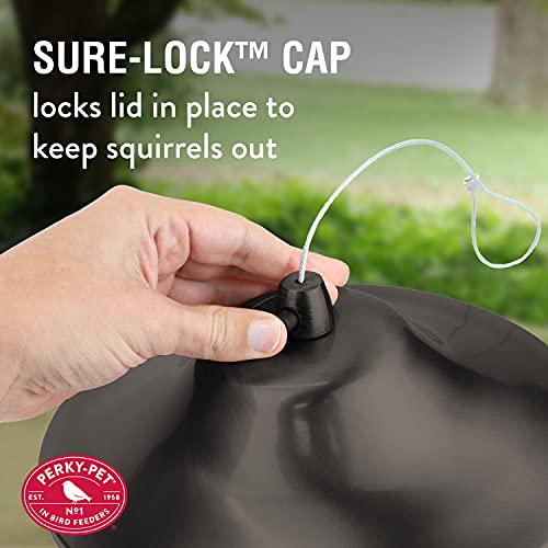 Large 2-Tier Panorama Bird Feeder with Hook