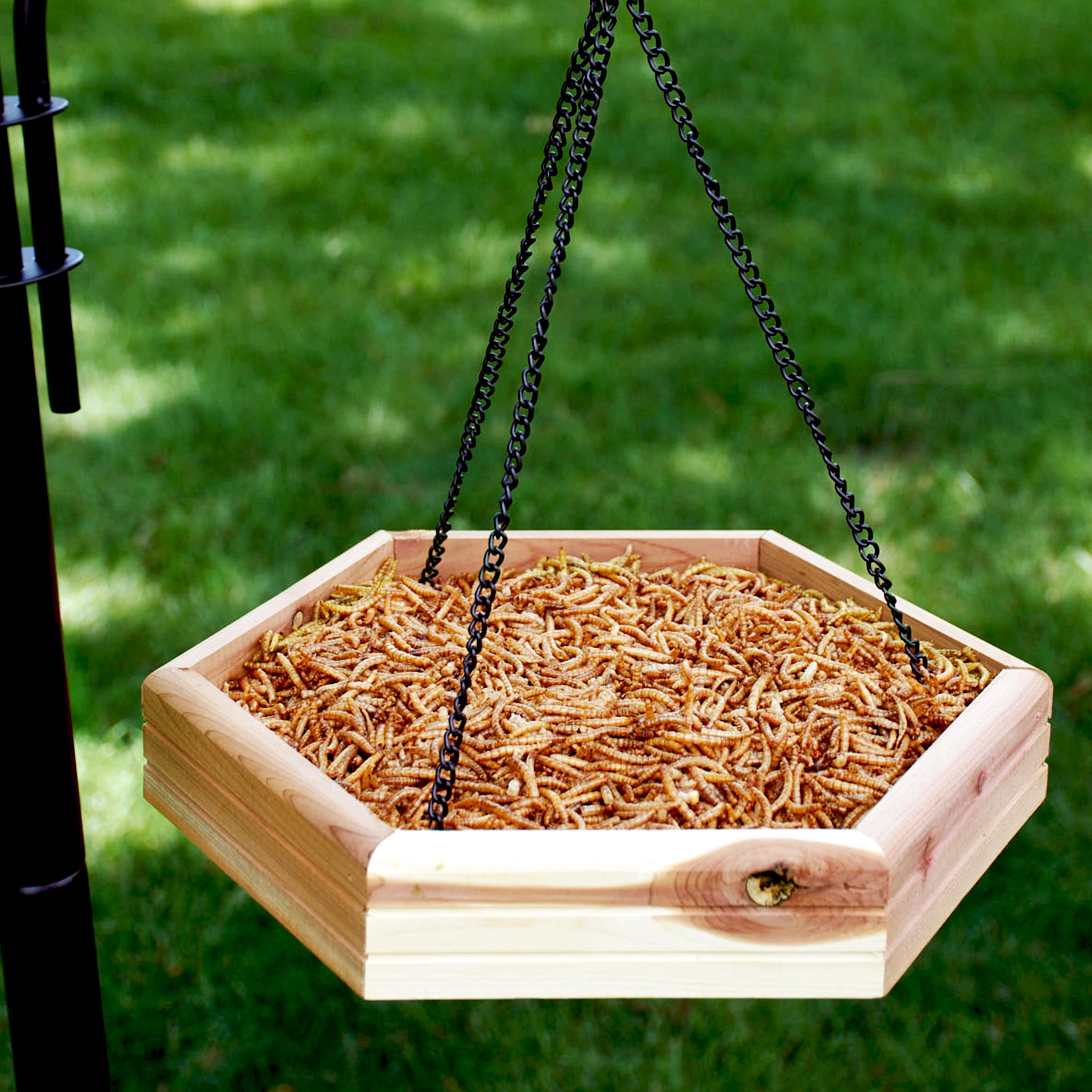 Pennington Red Cedar 2-in-1 Bird Bath & Feeder