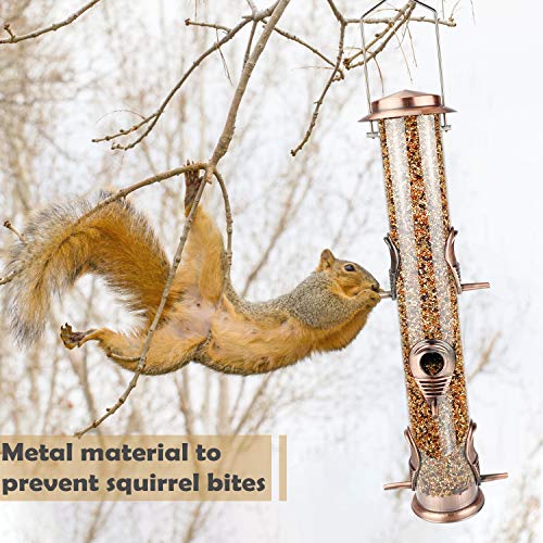 Metal Tube Bird Feeders for Outdoor Bird Watching