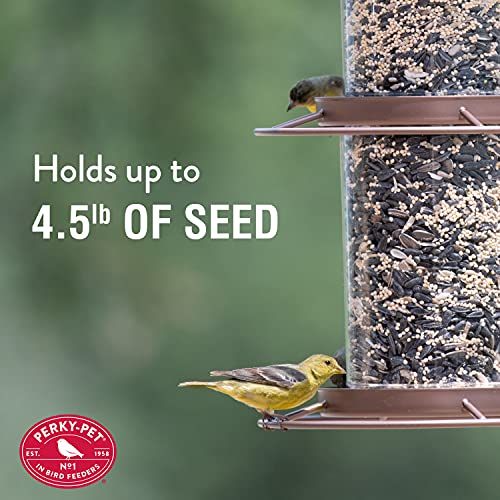 Large 2-Tier Panorama Bird Feeder with Hook